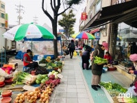 [사진] 북평장에 찾아온 동해의 봄