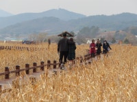 순천만습지, 8가지 동행이 일궈낸 상생스토리
