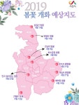 [서산벚꽃] 성당, 사찰, 가옥에도 봄꽃이