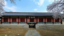 양양향교에서 벚꽃놀이 즐기며 역사교육까지