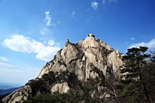 [사진] 북한산의 야생화