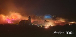 동해 망상실버타운 호텔 인근까지 산불 이동