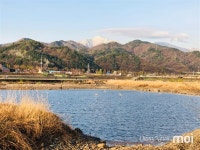 강원 동해 전천, 모처럼 물을 품다