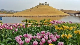 [순천] 인생 샷은 순천만 국가정원에서