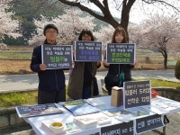 [모이] 충남 예산 옥계 저수지, 숨은 벚꽃 명소