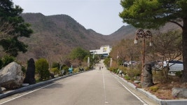 아이와 함께 가기 좋은 곳, 계룡산자연사박물관