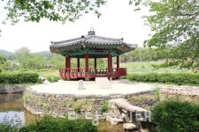젊은 사람들이 충남 당진 면천에 모여드는 이유는?