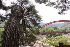 [함양] 지리산 천왕봉은 우리 동네 산 자부심 한가득