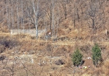 조선사신단은 왜 갑자기 열하에 가게 되었을까