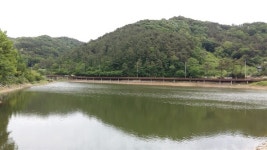 [포토 에세이] 봄과 여름 사이