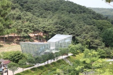 [당진의 걷기 좋은 길] 초록빛으로 물든 삼선산수목원