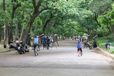 전국 최고의 숲캉스 명소는 경주 황성공원