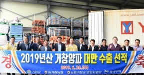 거창 양파 500톤, 대만에 수출길 올라