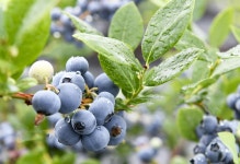 여름의 싱그러움을 물씬 느낄 수 있는 국내여행지