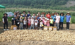 감자, 감자, 왕감자, 정말 정말 조아요오옹