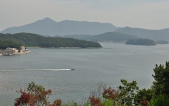 여름 한철만 먹을 수 있는 갯장어회를 맛보다