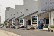 여름 한철만 먹을 수 있는 갯장어회를 맛보다