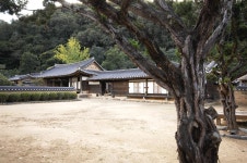 청송, 주왕산과 주산지를 지나 달기약수터로