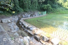 흐르는 것을 보면 감탄하지 않는 사람이 없다는 개천