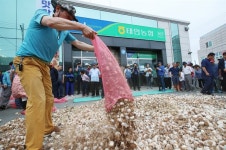 태안농협 앞에 마늘 쏟아버린 농민들 우리도 파업하자