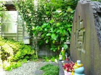 특별한 도쿄 여행, 1인 시위로 시작합니다