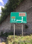 도로표지판 덮은 넝쿨, 어디로 가라는 건지?