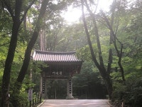[모이] 구룡사(九龍寺)? 구룡사(龜龍寺)? 