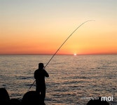 [모이] 태안반도 모항의 뜨거운 노을