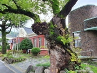 전남 구례 백의종군 출정 길을 걷다