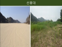 추악한 몰골로 변해버린 국보급 명승지, 범인은 유명인사