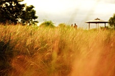 [사진] 추석 연휴, 상암동 하늘공원 산책은 어떨까요