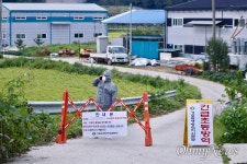 아프리카돼지열병으로 3950마리 돼지 살처분... 예고된 재앙