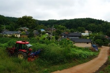 금방이라도 기어나올 것 같은, 배추벌레 닮은 이것