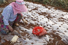 산자락이 온통 하얗게 변하는 학마을