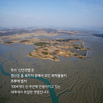 [카드뉴스] 신안갯벌이 세계 유일인 이유