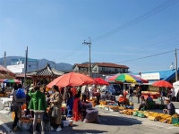 탐스럽게 익은 감... 구례로 놀러 오세요