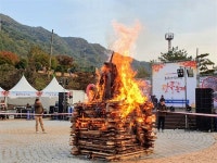 [모이] 절정 달한 가을, 지리산 피아골로 단풍 구경