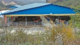 전북 장수에 가면 꼭 먹어야 할 것