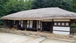 독을 차고 김영랑 시인의 항일과 아들이 밝힌 비화