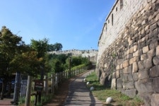 새처럼 바람타고 성북구 장수마을을 거닐다