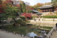 왕이 사랑한 비밀의 정원에서 본 단풍