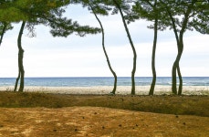 산티아고 부럽지 않은 해파랑길, 한번 보시죠