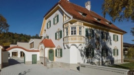 내 꿈은 마이스터, 독일에서 악기 만들어요