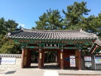 녹색 왕릉과 파란 하늘이 잘 어울리는 경주 대릉원
