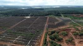 포스코 소유 인니 기업이 환경 파괴... 주민 삶 위협