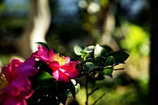 [사진] 지금 양수리에 가면 볼 수 있는 풍경