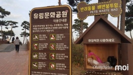 공원 반려동물 배변봉투함 열었다가... 냄새에 당혹