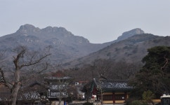 겨울이 오면 해남이 그리워진다