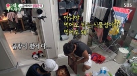 무명시절 아픔 고백한 '미우새' 음문석의 진심