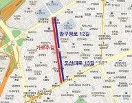 강남구, 가로수길 법정도로명으로 추진